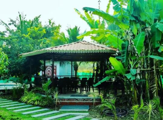 Surve cottage